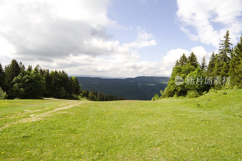 从Col de la Faucille, Jura, Ain地区，法国